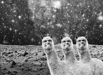 Call for entries: finished films and event ideas news banner