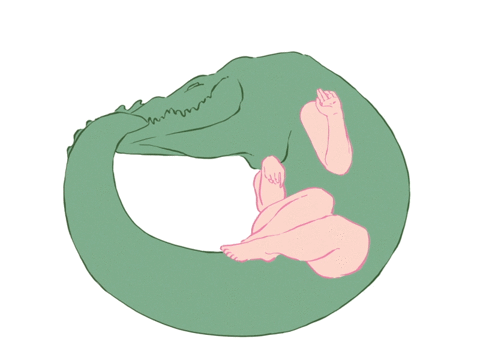 LAST WEEK TO APPLY FOR A BORSCHT COMMISSION news banner